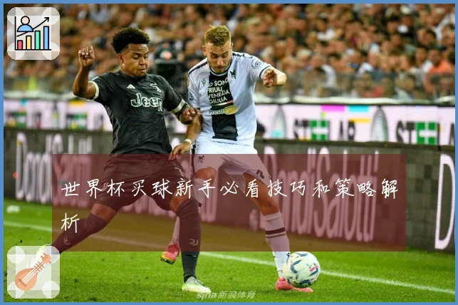 世界杯买球新手必看技巧和策略解析