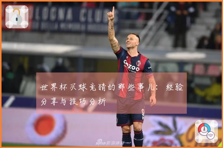 世界杯买球竞猜的那些事儿：经验分享与技巧分析