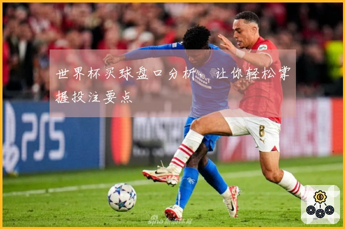 世界杯买球盘口分析，让你轻松掌握投注要点