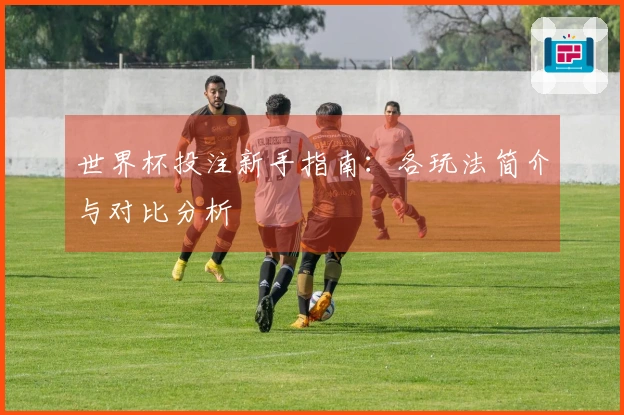 世界杯投注新手指南：各玩法简介与对比分析