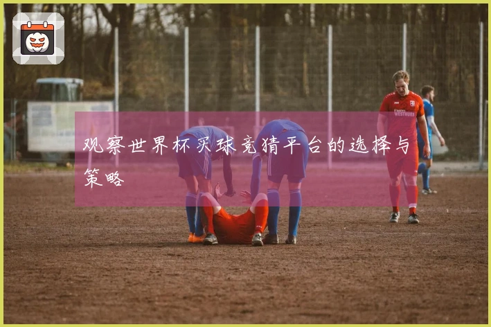 观察世界杯买球竞猜平台的选择与策略