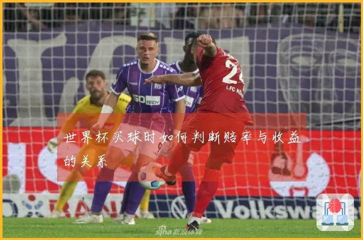 世界杯买球时如何判断赔率与收益的关系
