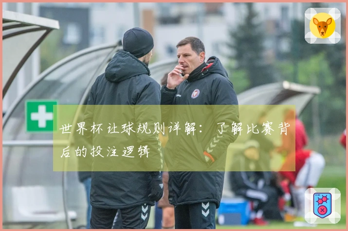 世界杯让球规则详解：了解比赛背后的投注逻辑