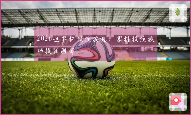 2026世界杯投注攻略，掌握投注技巧提高胜率