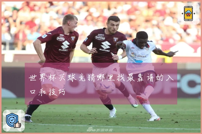 世界杯买球竞猜哪里找最靠谱的入口和技巧