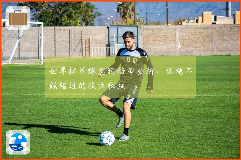 世界杯买球竞猜赔率分析，你绝不能错过的投注秘诀