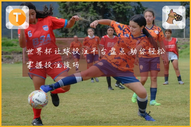 世界杯让球投注平台盘点 助你轻松掌握投注技巧