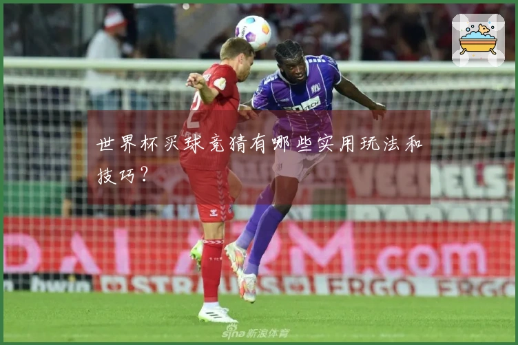 世界杯买球竞猜有哪些实用玩法和技巧？