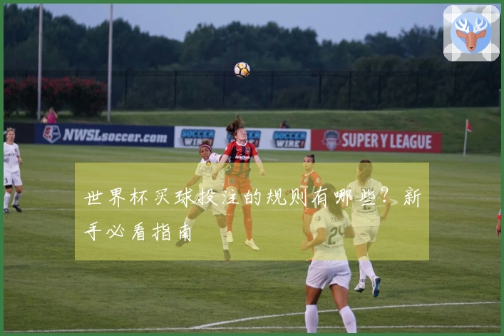 世界杯买球投注的规则有哪些？新手必看指南
