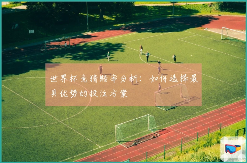 世界杯竞猜赔率分析：如何选择最具优势的投注方案