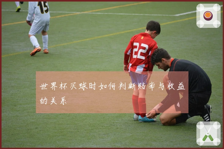 世界杯买球时如何判断赔率与收益的关系