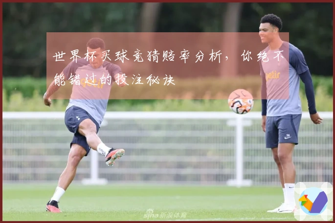 世界杯买球竞猜赔率分析，你绝不能错过的投注秘诀