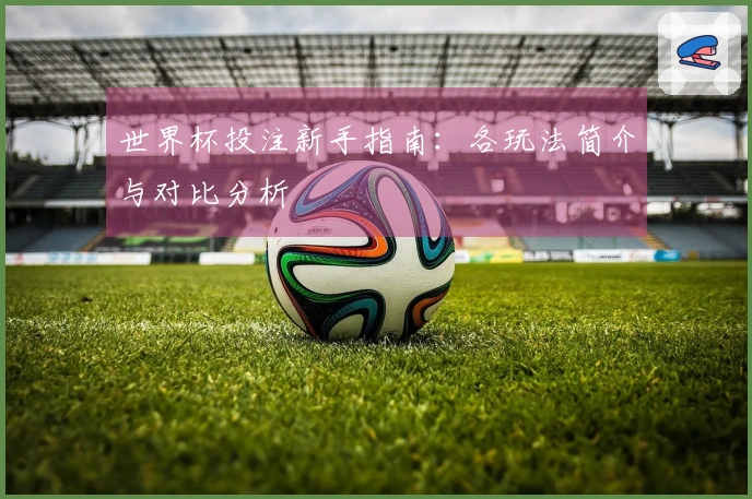 世界杯投注新手指南：各玩法简介与对比分析