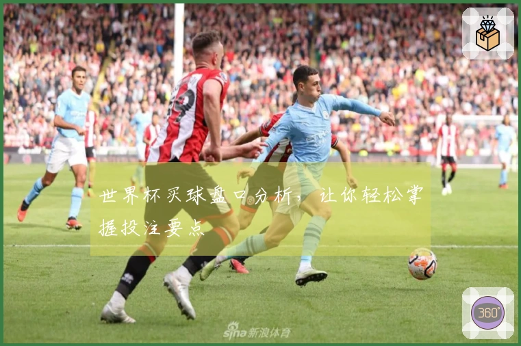 世界杯买球盘口分析，让你轻松掌握投注要点