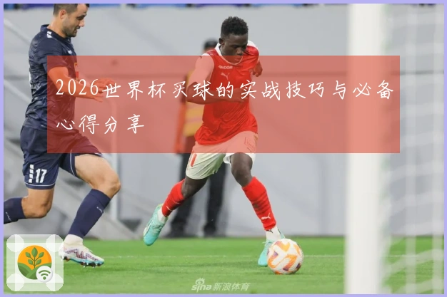 2026世界杯买球的实战技巧与必备心得分享
